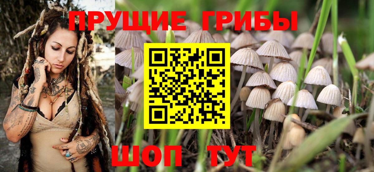 Псилоцибиновые грибы ЛСД Домодедово
