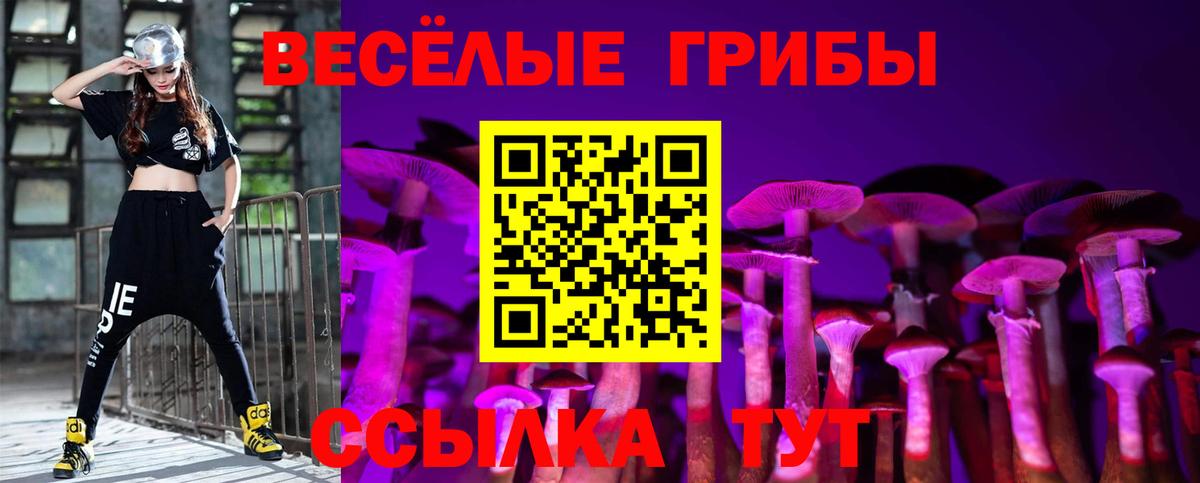 Домодедово  Галлюциногенные грибы Psilocybine cubensis  купить закладку  Псилоцибиновые грибы Magic Shrooms  Вход с VPN 
